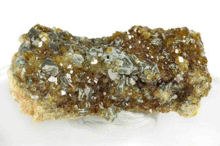 Yellow Andradite-Grossular Garnet Cluster with Clinochlore - Mali #245206